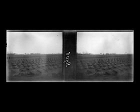 Image représentant Une zone de sépultures dans la campagne