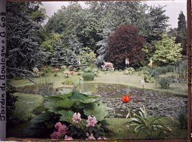 Image représentant Le marais