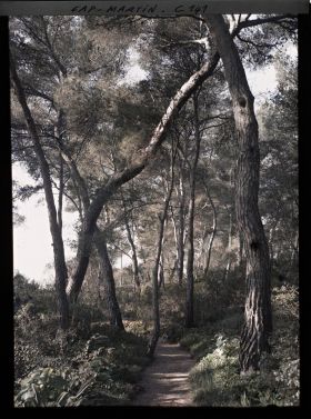 Image représentant Cap Martin - Le Jardin