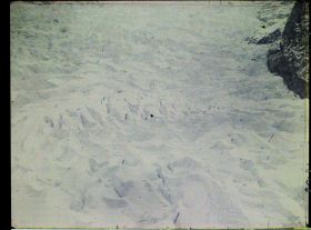 Image représentant France Les Alpes, Les Bossons, Le Glacier des Bossons à une altitude de 1400m environ