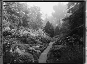 Image représentant Allée du " sanctuaire japonais " menant du sorinto au " village japonais "