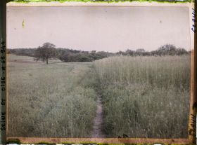 Image représentant Ile de France, Frepillon, Cultures diverses