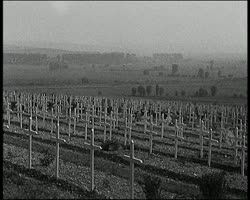 Image représentant Voyage sur l'ancien Front : cimetière national