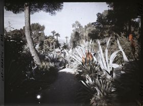 Image représentant Le Jardin (matin)