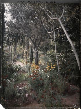 Image représentant Cap-Martin - Giroflées - Le Jardin