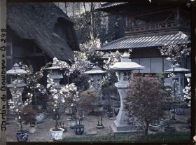 Image représentant Lanternes, bonsaïs et arbres en fleurs devant la pagode du " village japonais "