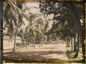 Image représentant L'avenue de la Douane, dans le quartier européen