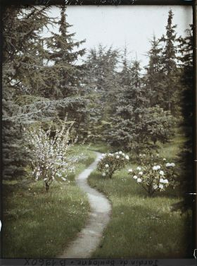 Image représentant Allée vers la forêt bleue
