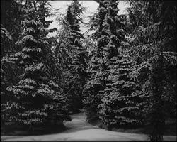 Image représentant Essais panchromatique