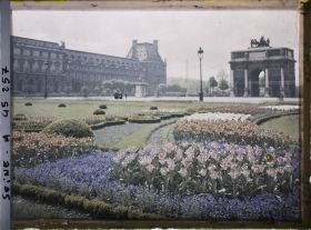 Image représentant Les tulipes au jardin des Tuileries
