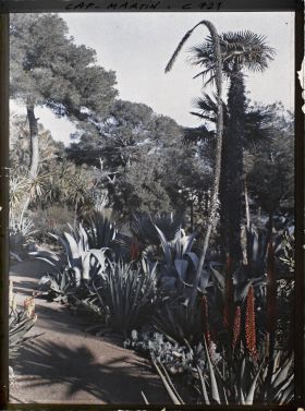 Image représentant Jardin divers