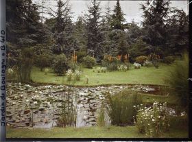 Image représentant Bassins du marais plantés de nénuphars en fleurs, vus en direction du sud-est