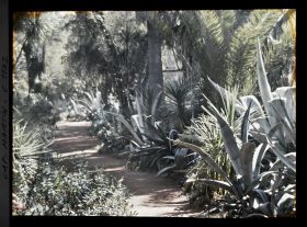 Image représentant le Jardin