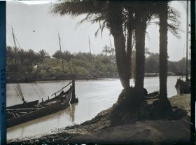 Image représentant Rives du Chatt Al-Hillah, l'une des branches de l'Euphrate