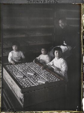 Image représentant Préparation des cartons de papillons pour la ponte