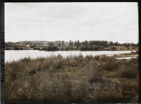 Image représentant Les bords de l'Allier vus vers l'aval