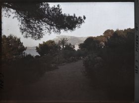 Image représentant Effet de Soleil levant s/ Monaco