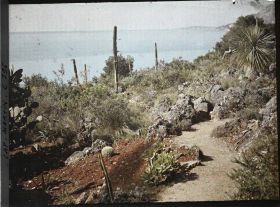 Image représentant Cap-Martin - Le Jardin