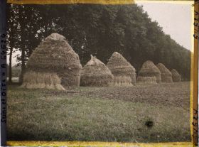 Image représentant Ile de France, Nointel, Meules de blé (temps pluvieux) en bordure d'une allée de peupliers(Temps gris)