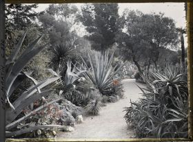 Image représentant Le Jardin