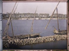 Image représentant Les bords du Nil