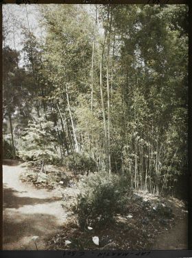 Image représentant Cap Martin Le Jardin