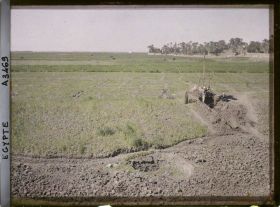 Image représentant Des hommes puisant de l'eau grâce à un  null chadouf près du village