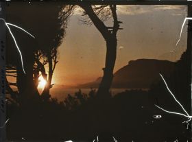 Image représentant soleil couchant sur la tête de chien