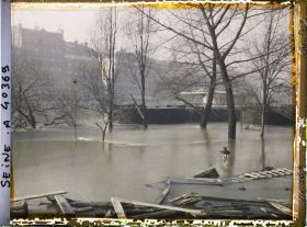 Image représentant La crue de la Seine, du quai de l'Hôtel-de-Ville au quai aux Fleurs