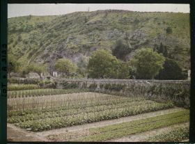 Image représentant France, Cahors, Jardins avoisinant le pont Valentré (bords du Lot)