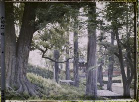 Image représentant Konglin, la nécropole de la famille de Confucius