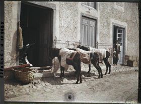 Image représentant Espagne, D'Astorga à Léon, A la sortie du Puente de Orbigo, la station des ânes.