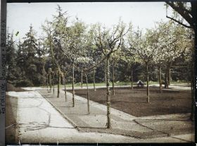 Image représentant Partie nord-ouest du verger-roseraie en cours de travaux et vue en direction de la forêt bleue