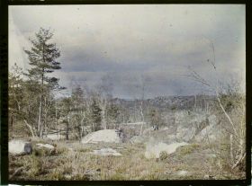 Image représentant Forêt