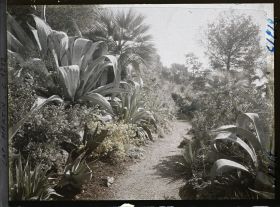 Image représentant le Jardin