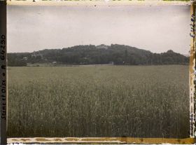 Image représentant Ile de France, Presles, La plaine et la Colline de Presles