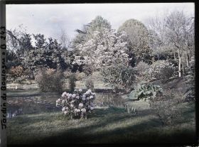Image représentant Partie nord-est du marais, vue à proximité du bord est des " étangs "