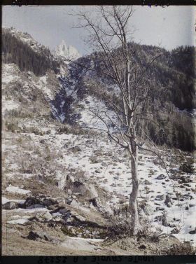 Image représentant Vallée de Chamonix, Le Couloir d'avalanches de l'Aiguille de Charmoz