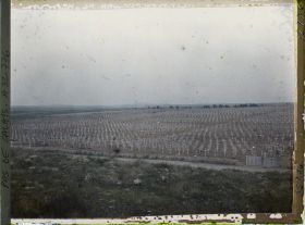 Image représentant France, La Targette, Vue panoramique du Cimetière Français (7000 tombes)