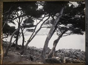 Image représentant Rte du Cap à Menton,-bords de mer