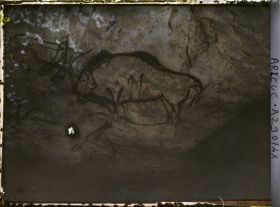 Image représentant Grotte de Niaux : le bison avec le signe rouge