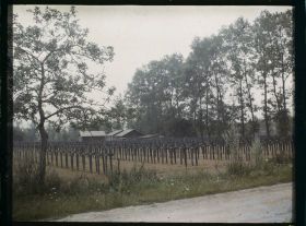 Image représentant France, Curchy, Le cimetière allemand (8000 tombes)