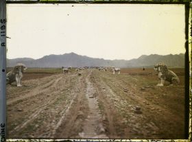 Image représentant Ming Shisanling (" Treize Tombeaux des Ming ")