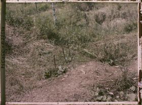 Image représentant France, Douaumont, Tranchée des Baïonnettes (3 fusils)