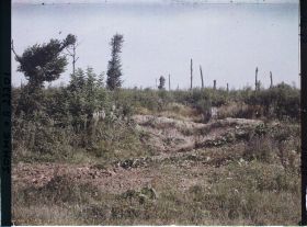 Image représentant France, Combles, Le bois des Bouleaux