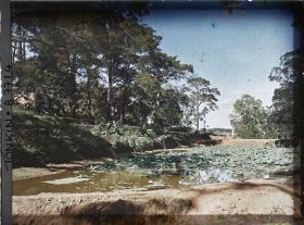 Image représentant Un étang couvert de lotus