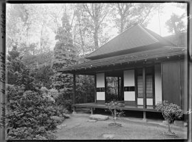 Image représentant Bonsaïs dans une partie de jardin du " village japonais ", située face à la maison ouest