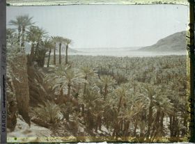 Image représentant L'oasis et la plaine de Baghdad avec à droite, le Djebel Taghla