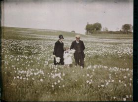 Image représentant Un couple avec enfant dans un champs de narcisses