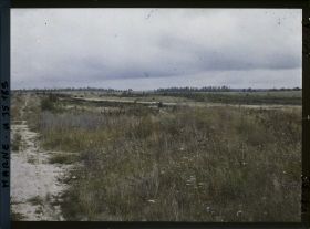 Image représentant France, Servon , Aspect du terrain vu de la route au point 166, au fond bois de la Gruerie